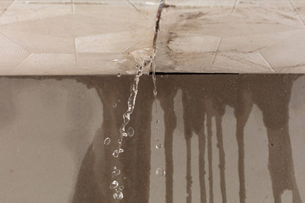 Professional Sewage Cleanup technician working in Hollister, CA